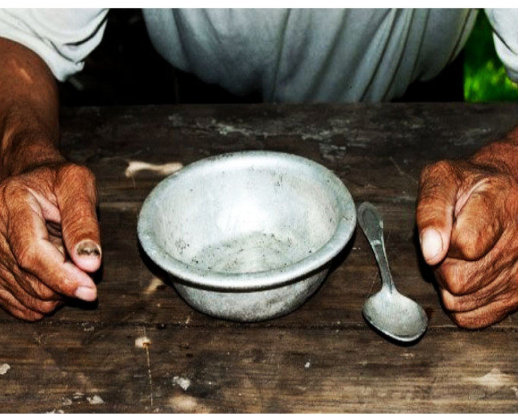Insegurança alimentar: qual é o cenário brasileiro?