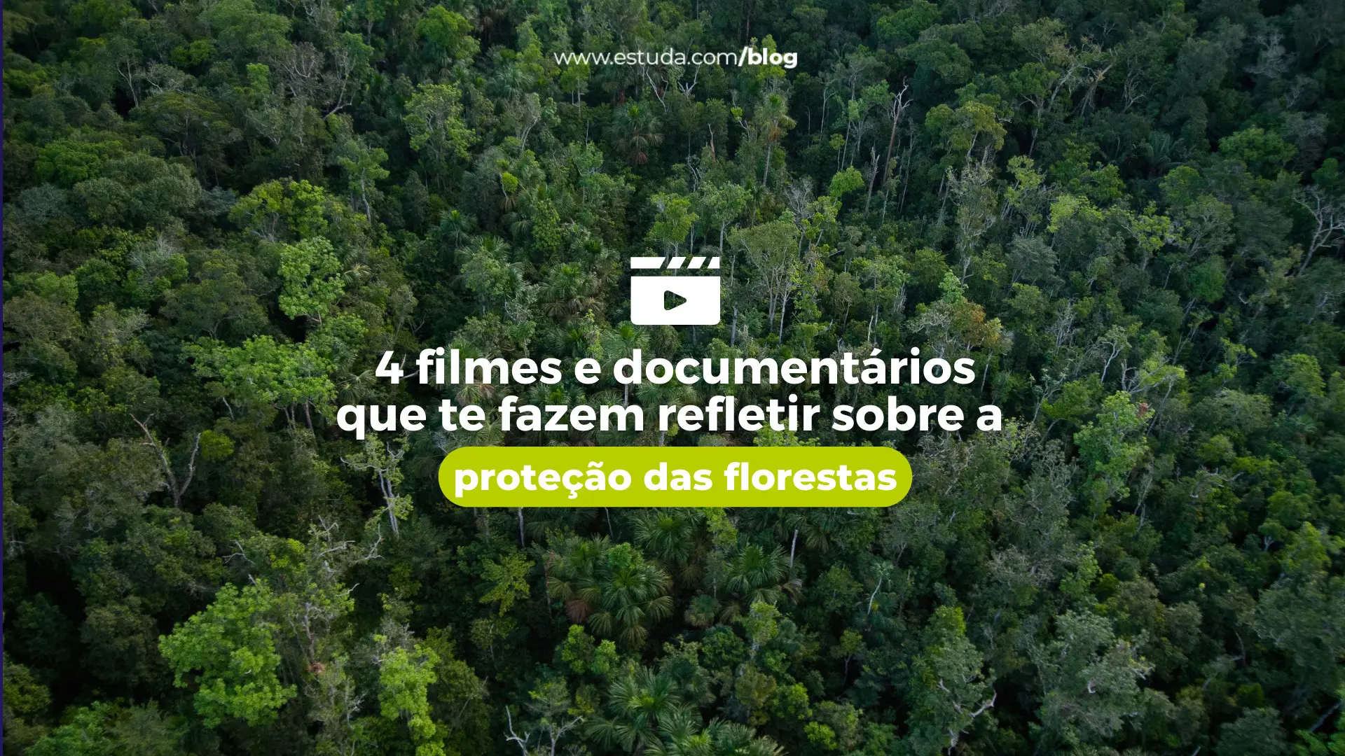 4 filmes e documentários que te fazem refletir sobre a proteção das florestas